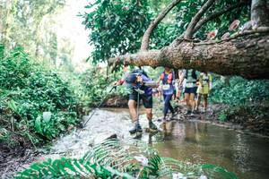 BIB: 
                            <button type="button" onclick="openModal(25476504)" class="btn btn-primary btn-sm float-right btn-popup" data-toggle="modal" data-target=".modal-high-quality">
                        <i class="fas fa-shopping-cart"></i> Add to Cart
                    </button>
                                            <button type="button" onclick="isThisMe(25476504, true)" class="btn btn-success btn-sm float-right btn-popup btn-isme hidden" data-toggle="tooltip" data-placement="bottom" title="นี่คือรูปของคุณใช่ไหม คลิกที่นี่เพื่อเอาเข้าอัลบั้ม">
                        <i class="fas fa-plus"></i> Add to album
                    </button>
                    <button type="button" onclick="isThisMe(25476504, false)" class="btn btn-warning btn-sm float-right btn-popup btn-isnotme hidden">
                        <i class="fas fa-ban"></i> Remove from album
                    </button>